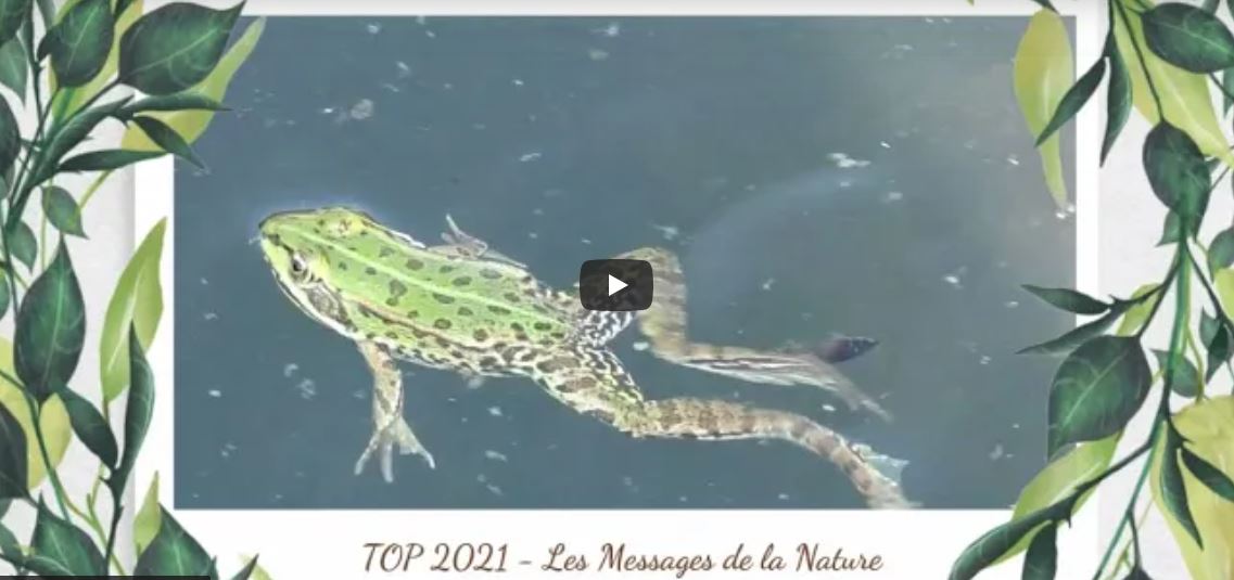 TOP 2021 - Les Messages de la Nature (DECEMBRE 2021)